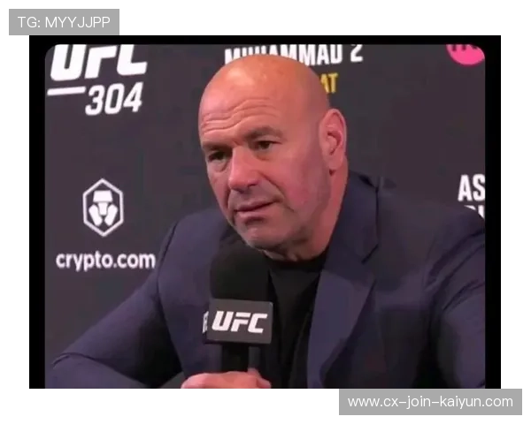 UFC 比赛裁判失误